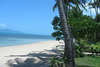 Coconut Grove 